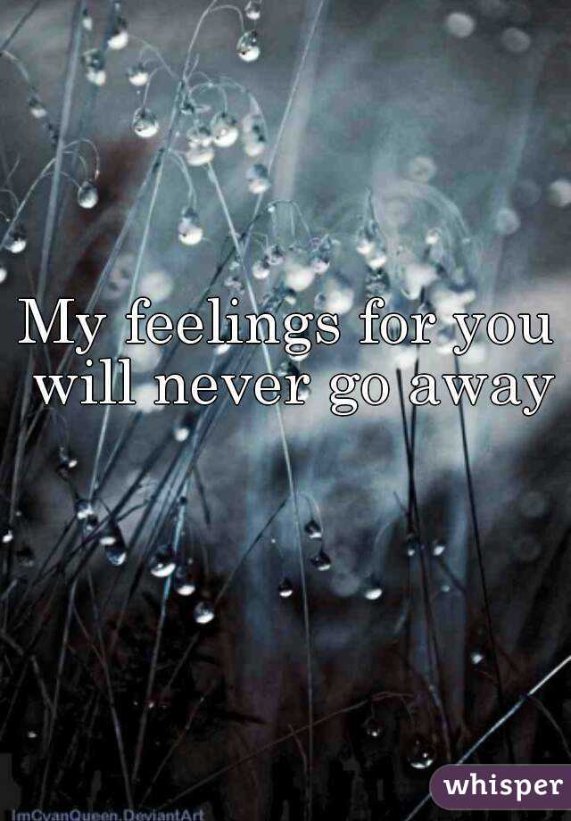 my-feelings-for-you-will-never-go-away