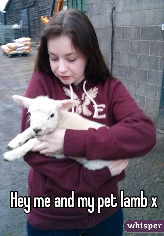 Hey me and my pet lamb x