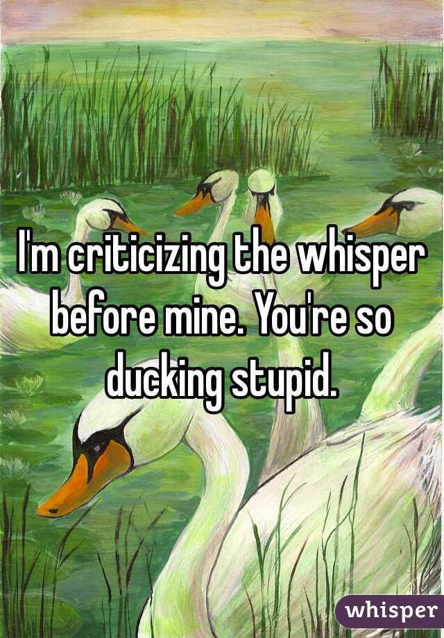 I'm criticizing the whisper before mine. You're so ducking stupid.