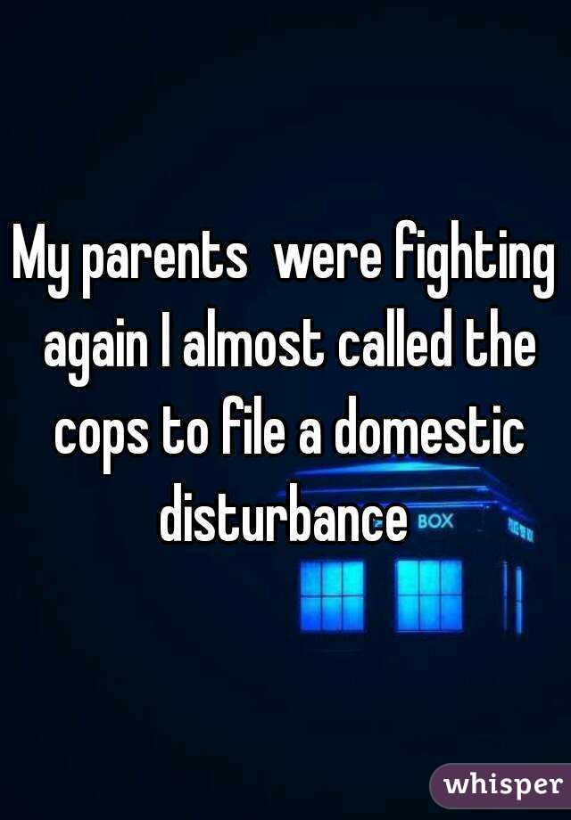 My parents  were fighting again I almost called the cops to file a domestic disturbance 