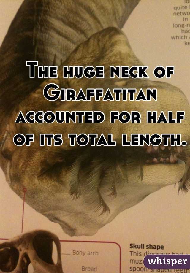 The huge neck of Giraffatitan accounted for half of its total length.