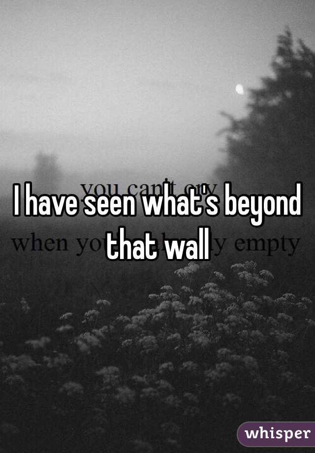 I have seen what's beyond that wall