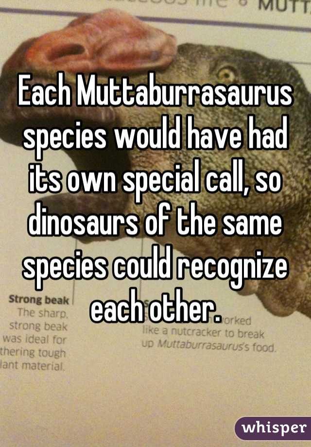 Each Muttaburrasaurus species would have had its own special call, so dinosaurs of the same species could recognize each other.