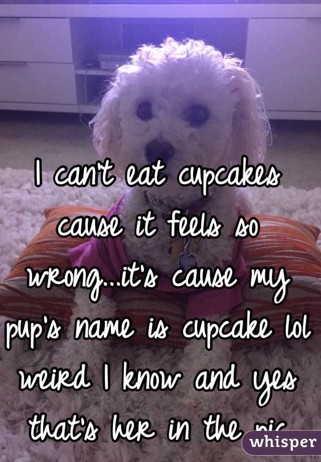 I can't eat cupcakes cause it feels so wrong...it's cause my pup's name is cupcake lol weird I know and yes that's her in the pic