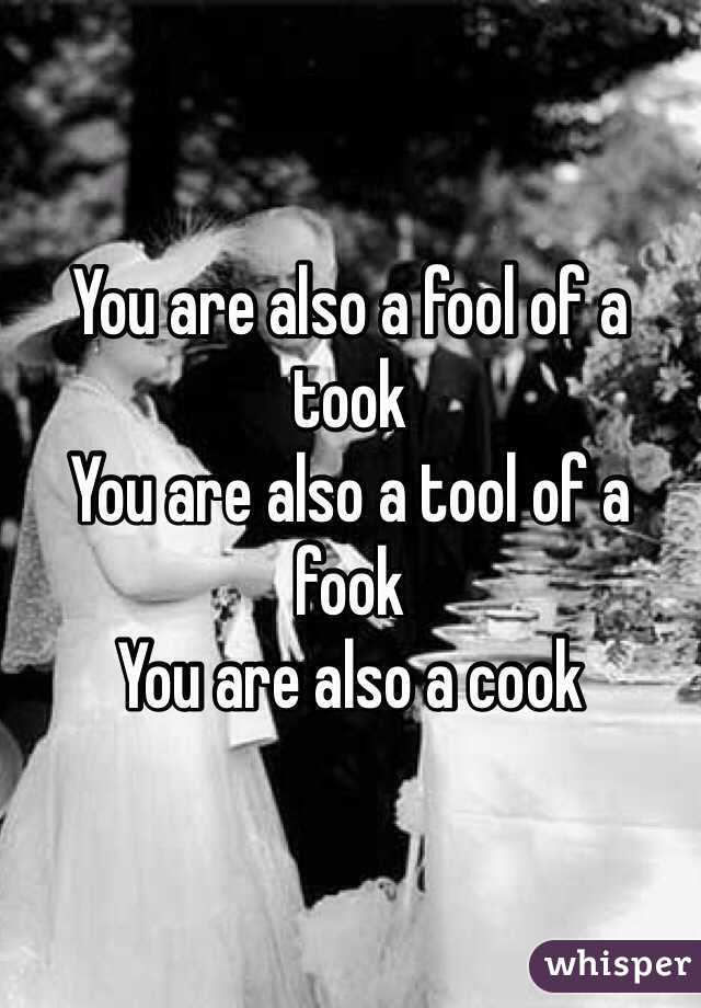 You are also a fool of a took
You are also a tool of a fook
You are also a cook