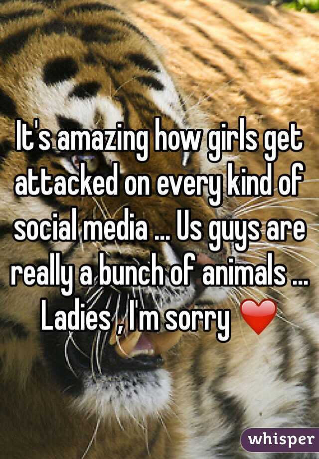 It's amazing how girls get attacked on every kind of social media ... Us guys are really a bunch of animals ... Ladies , I'm sorry ❤️