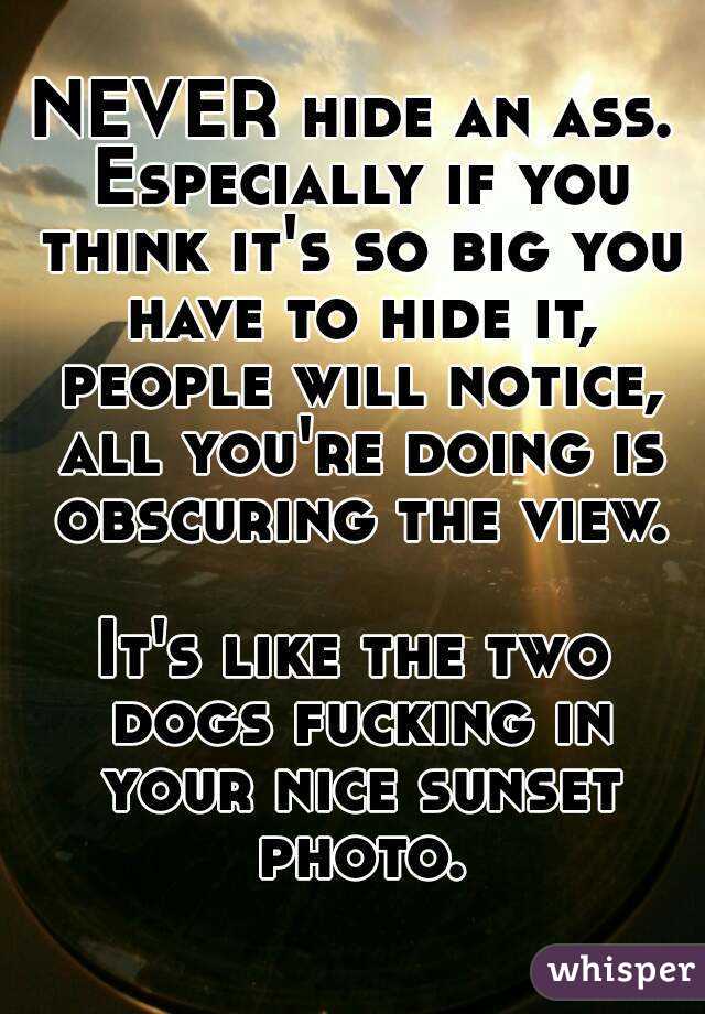 NEVER hide an ass. Especially if you think it's so big you have to hide it, people will notice, all you're doing is obscuring the view.

It's like the two dogs fucking in your nice sunset photo.