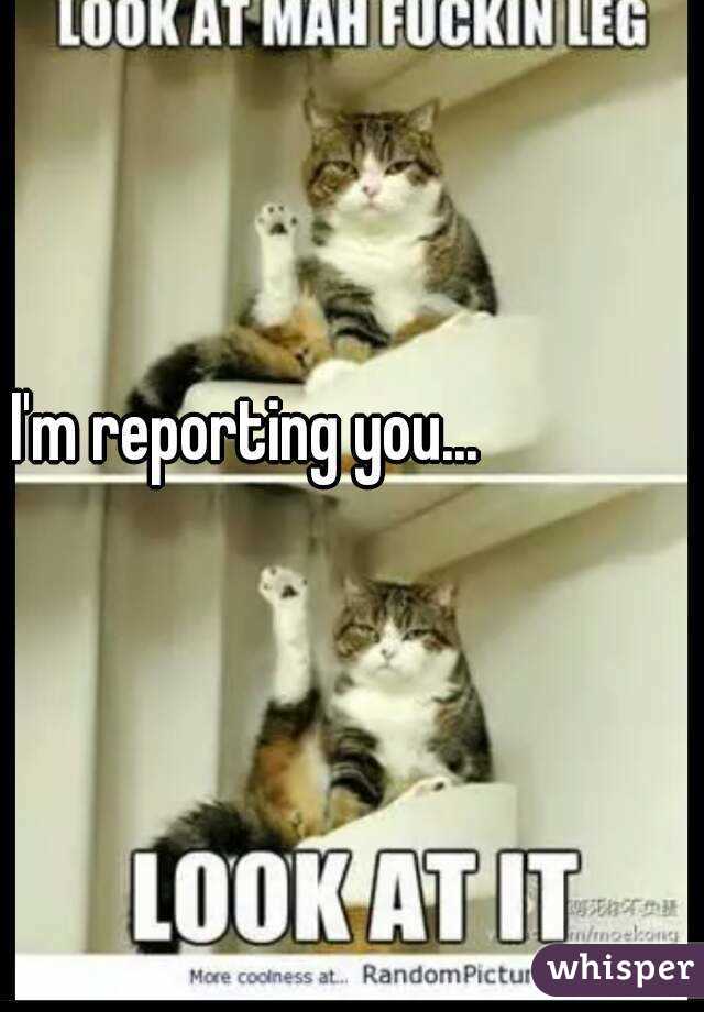 I'm reporting you...