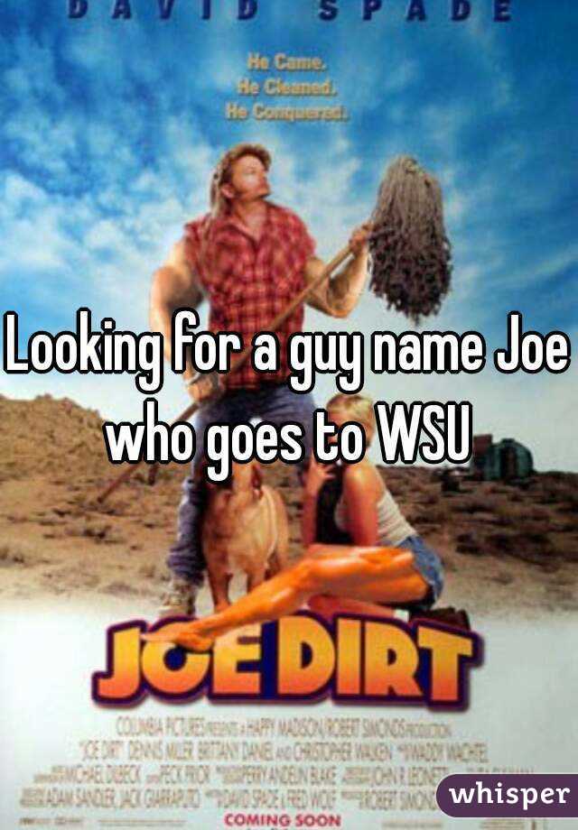 Looking for a guy name Joe who goes to WSU 