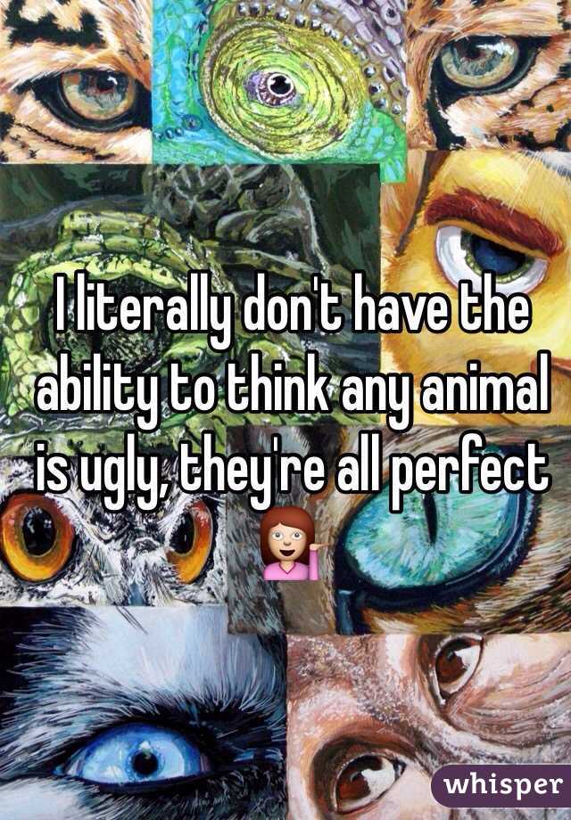 I literally don't have the ability to think any animal is ugly, they're all perfect 💁

