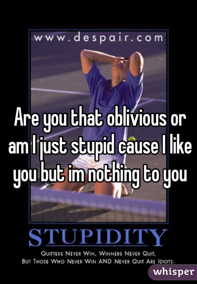 Are you that oblivious or am I just stupid cause I like you but im nothing to you 