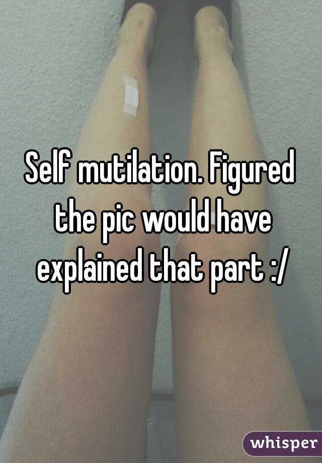 Self mutilation. Figured the pic would have explained that part :/