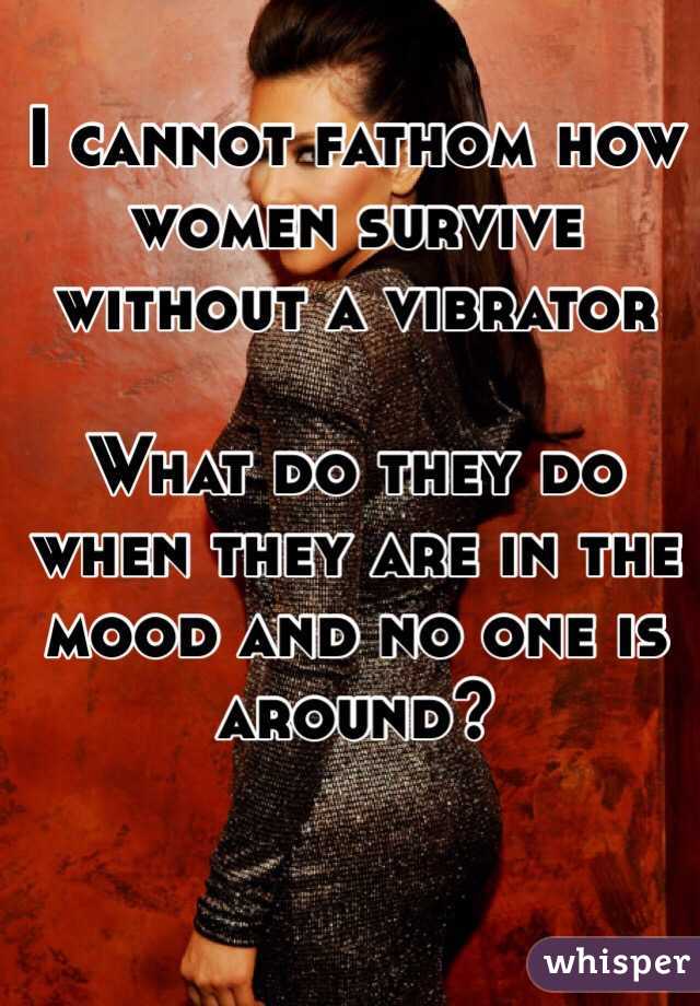 I cannot fathom how women survive without a vibrator 

What do they do when they are in the mood and no one is around? 