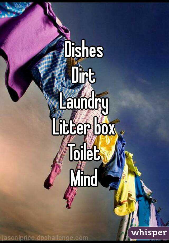 Dishes
Dirt
Laundry
Litter box
Toilet
Mind