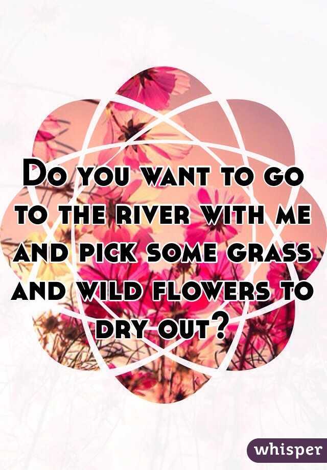 Do you want to go to the river with me and pick some grass and wild flowers to dry out? 

