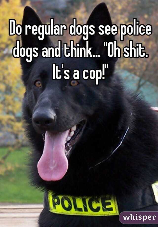 Do regular dogs see police dogs and think... "Oh shit. It's a cop!"