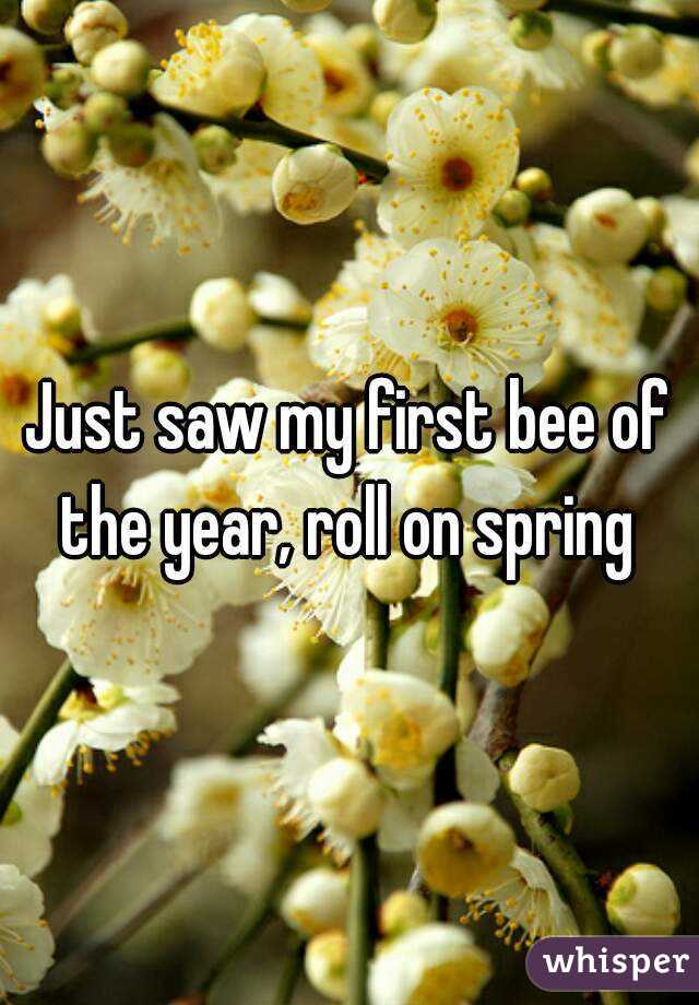 Just saw my first bee of the year, roll on spring 