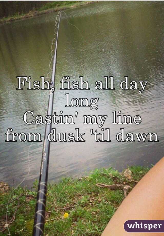 Fish, fish all day long
Castin' my line from dusk 'til dawn 