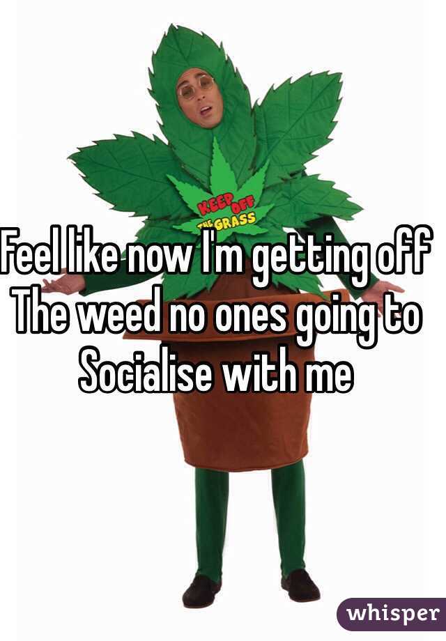 Feel like now I'm getting off
The weed no ones going to 
Socialise with me