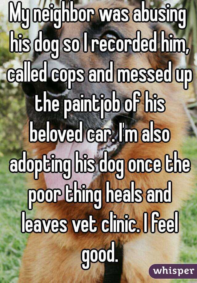 My neighbor was abusing his dog so I recorded him, called cops and messed up the paintjob of his beloved car. I'm also adopting his dog once the poor thing heals and leaves vet clinic. I feel good.