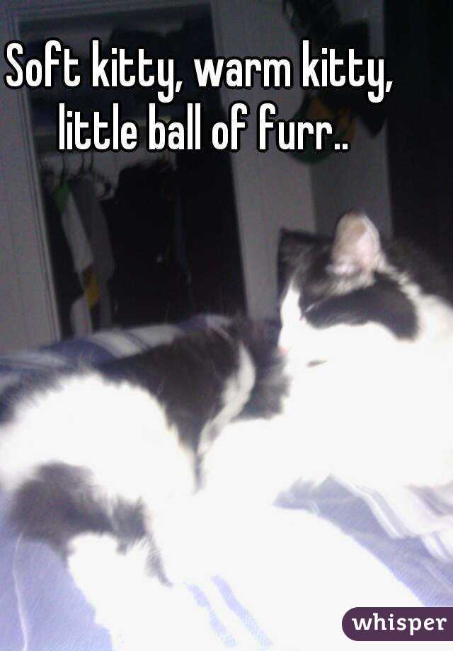 Soft kitty, warm kitty, little ball of furr..