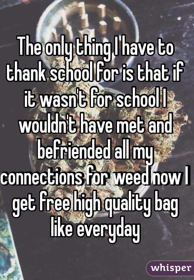 The only thing I have to thank school for is that if it wasn't for school I wouldn't have met and befriended all my connections for weed now I get free high quality bag like everyday
