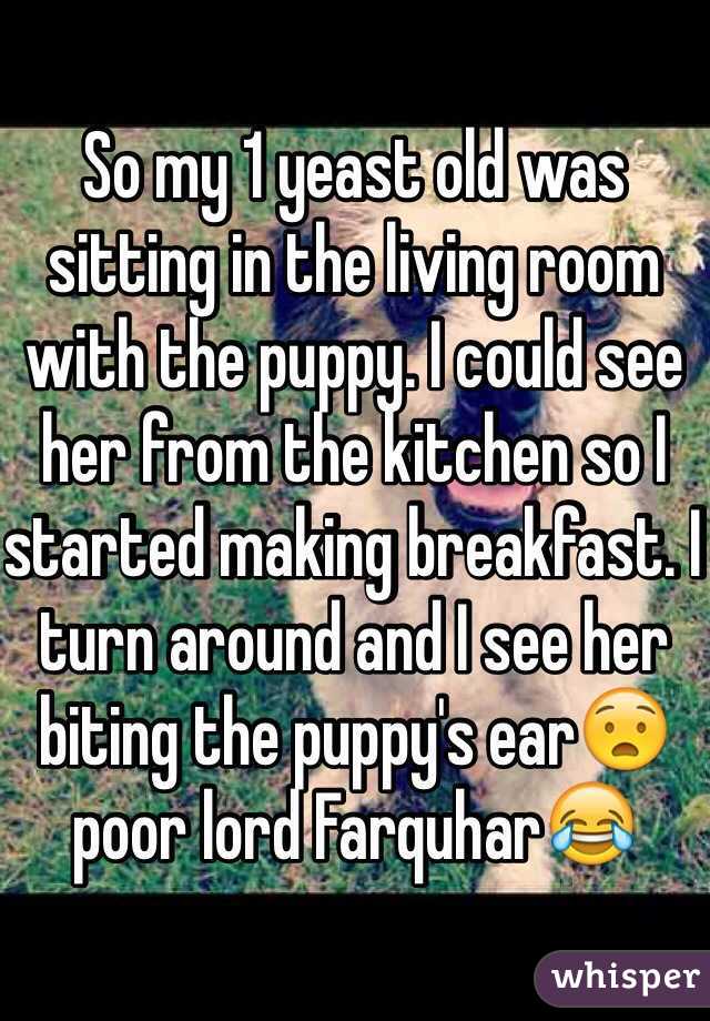 So my 1 yeast old was sitting in the living room with the puppy. I could see her from the kitchen so I started making breakfast. I turn around and I see her biting the puppy's ear😧 poor lord Farquhar😂 