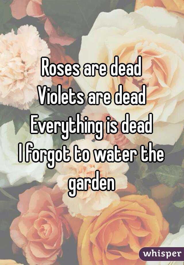 Roses are dead
Violets are dead
Everything is dead
I forgot to water the garden 