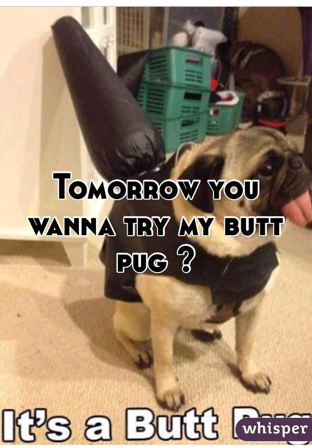 Tomorrow you wanna try my butt pug ? 