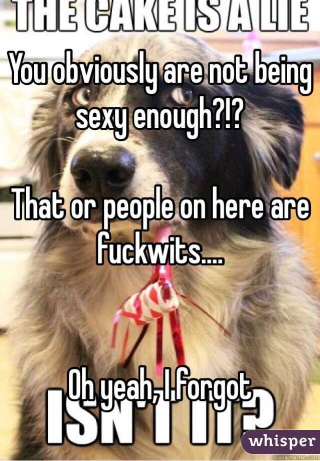 You obviously are not being sexy enough?!?

That or people on here are fuckwits....


Oh yeah, I forgot