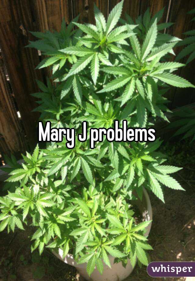 Mary J problems