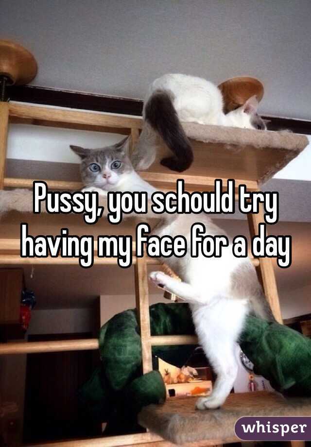 Pussy, you schould try having my face for a day