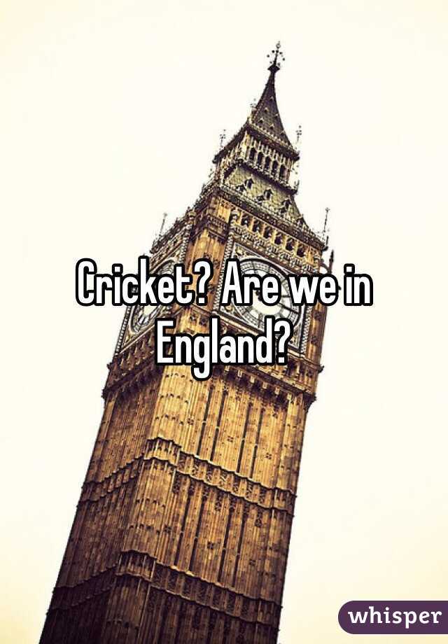 Cricket? Are we in England? 