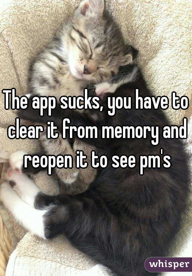 The app sucks, you have to clear it from memory and reopen it to see pm's