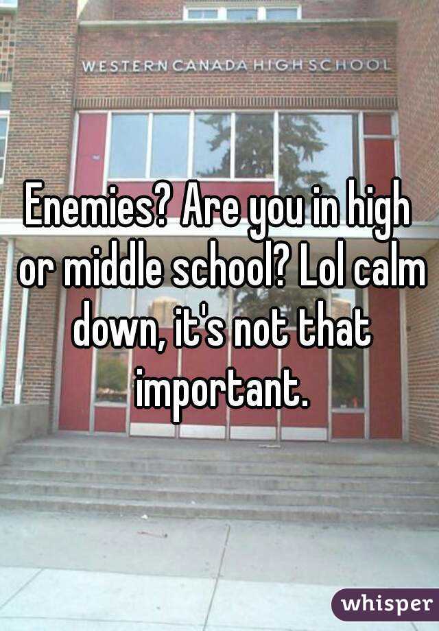 Enemies? Are you in high or middle school? Lol calm down, it's not that important.
