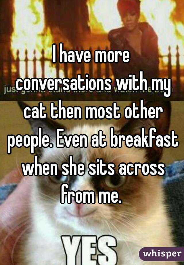 I have more conversations with my cat then most other people. Even at breakfast when she sits across from me. 