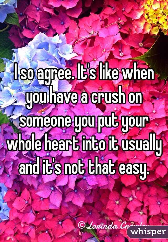 I so agree. It's like when you have a crush on someone you put your whole heart into it usually and it's not that easy. 