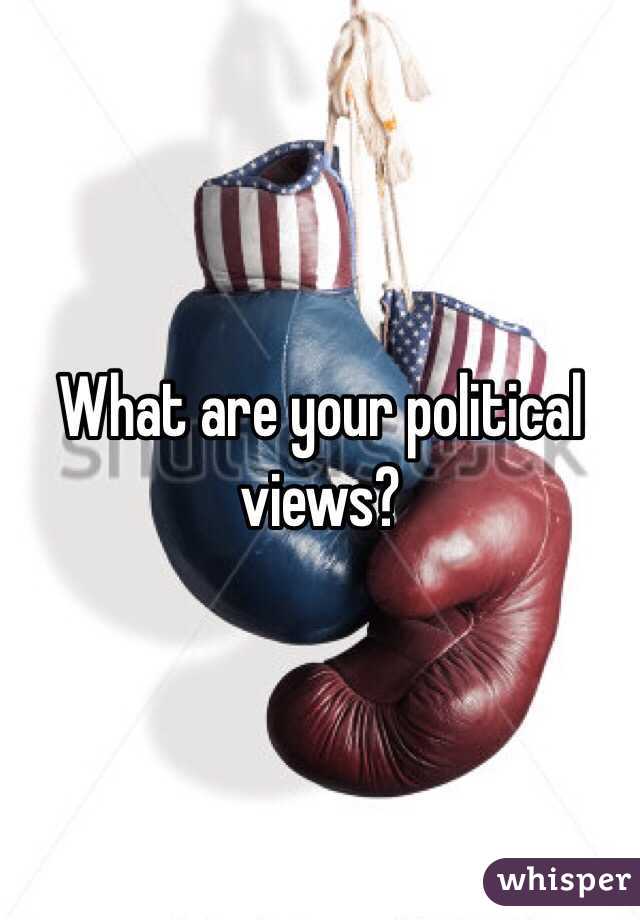 What are your political views?