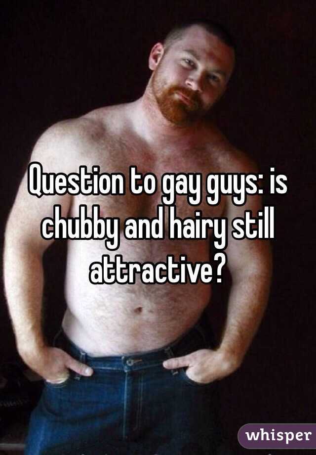 Question to gay guys: is chubby and hairy still attractive?