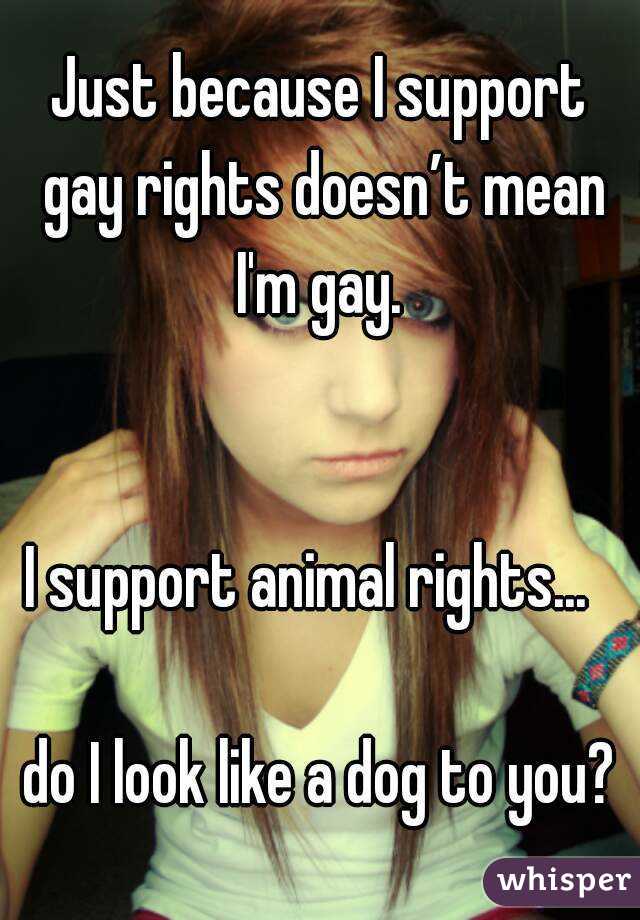 Just because I support gay rights doesn’t mean I'm gay. 


I support animal rights...  

do I look like a dog to you?