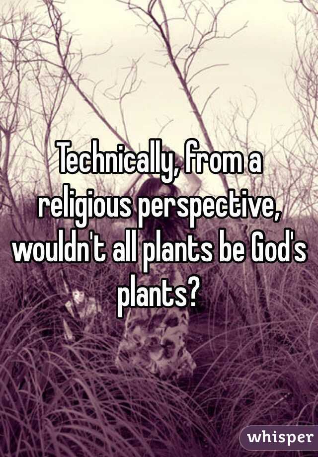 Technically, from a religious perspective, wouldn't all plants be God's plants?