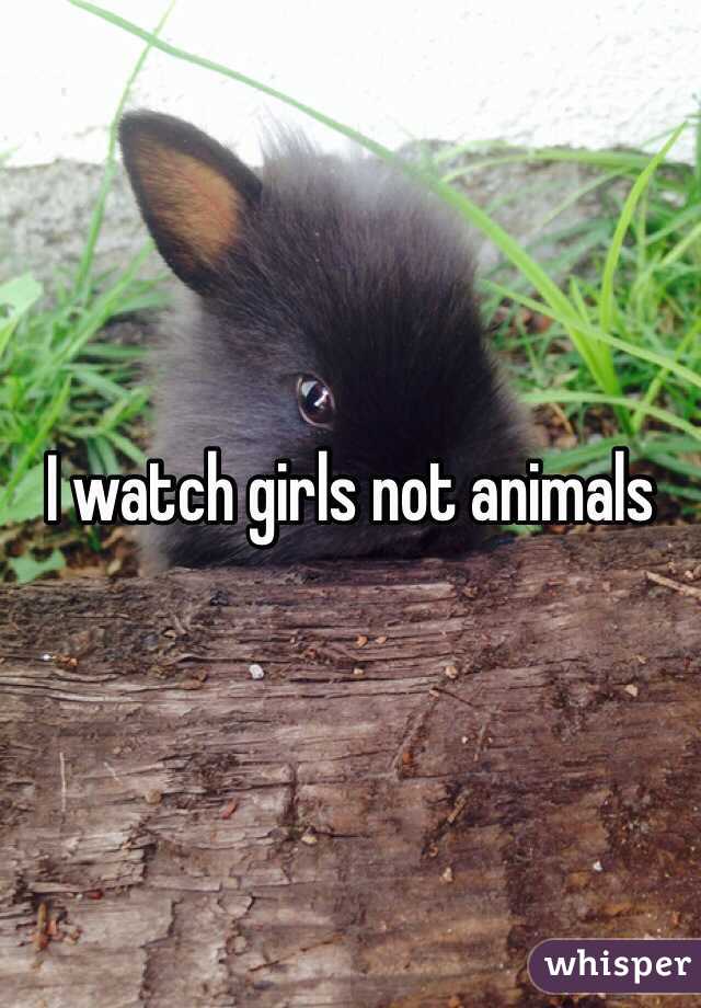 I watch girls not animals 