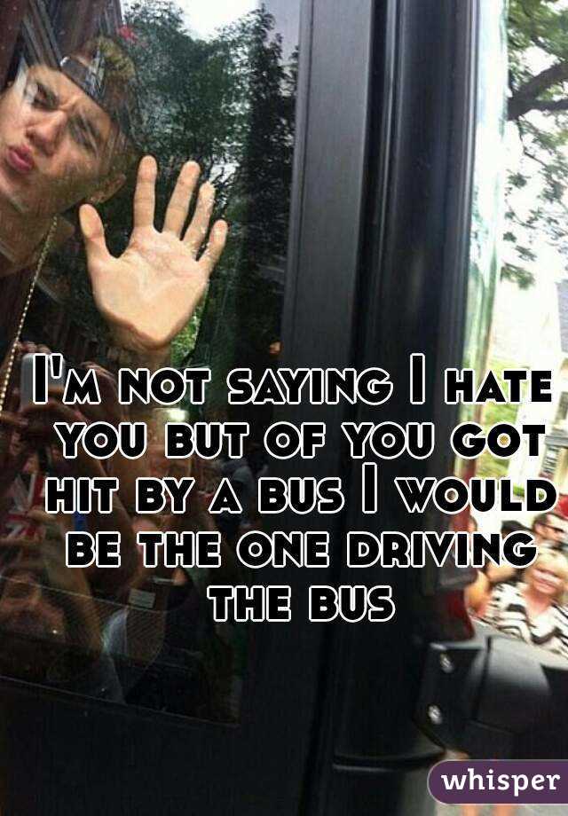 I'm not saying I hate you but of you got hit by a bus I would be the one driving the bus