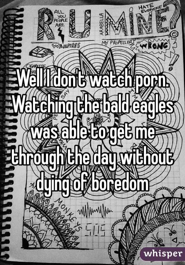 Well I don't watch porn. Watching the bald eagles was able to get me through the day without dying of boredom 