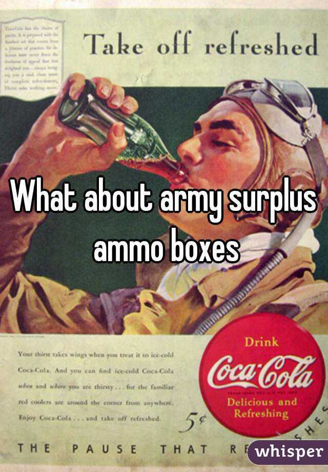 What about army surplus ammo boxes