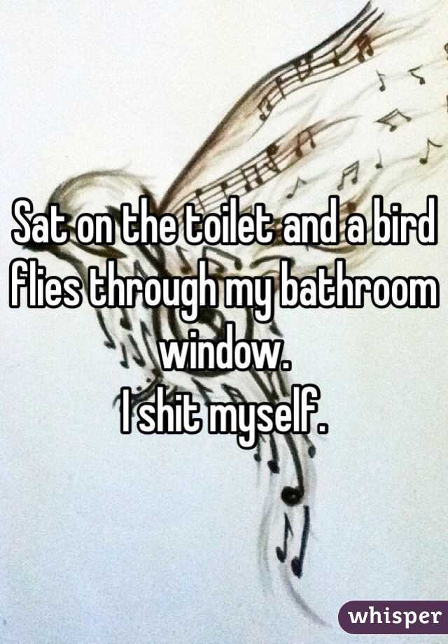 Sat on the toilet and a bird flies through my bathroom window. 
I shit myself.