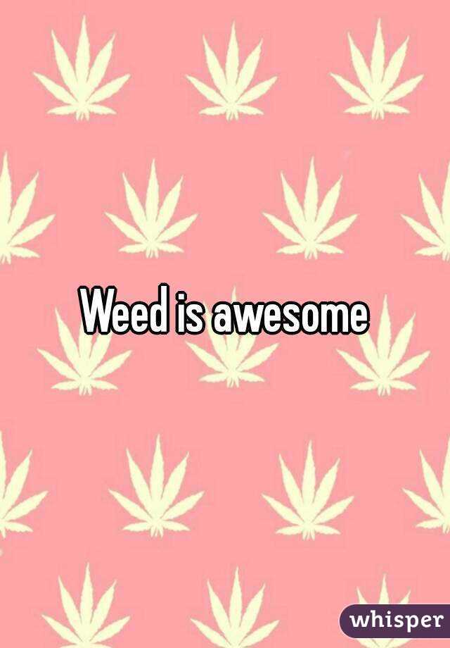 Weed is awesome