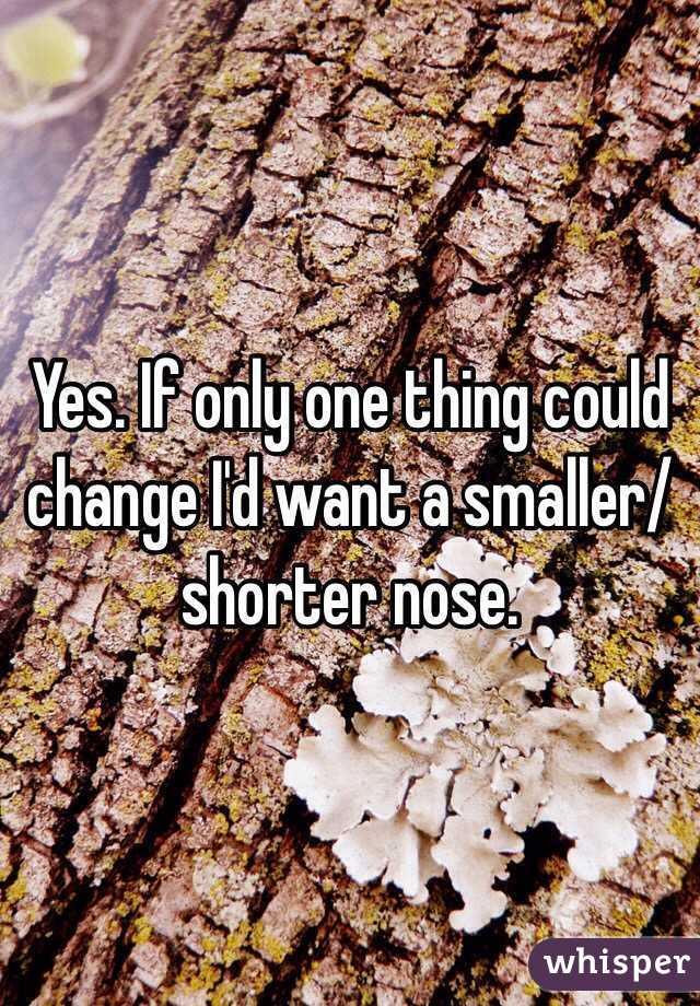 Yes. If only one thing could change I'd want a smaller/shorter nose.