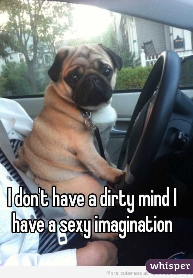 I don't have a dirty mind I have a sexy imagination