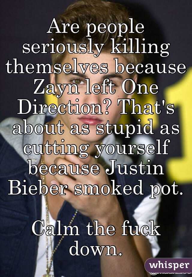 Are people seriously killing themselves because Zayn left One Direction? That's about as stupid as cutting yourself because Justin Bieber smoked pot.

Calm the fuck down.